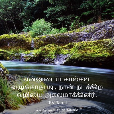 Picture 03 - சங்கீதங்கள் 18:36 TAMIRV - என்னுடைய கால்கள் - Bible Verse Picture