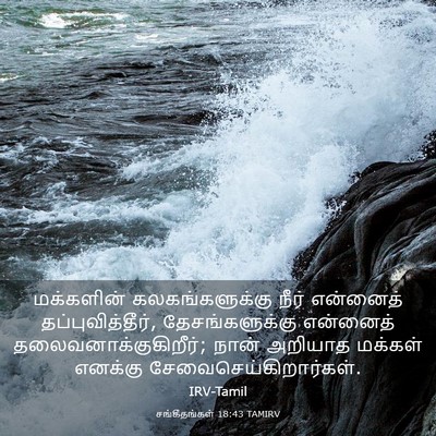 Picture 03 - சங்கீதங்கள் 18:43 TAMIRV - மக்களின் - Bible Verse Picture