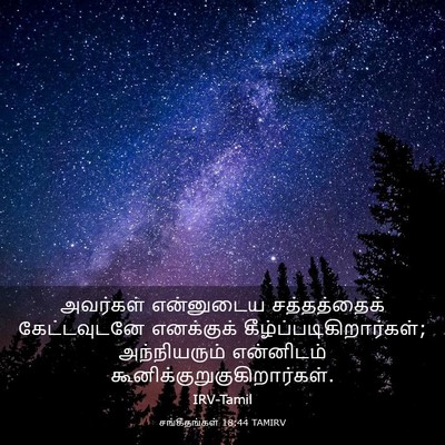 Picture 03 - சங்கீதங்கள் 18:44 TAMIRV - அவர்கள் என்னுடைய - Bible Verse Picture