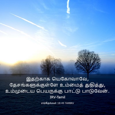 Picture 03 - சங்கீதங்கள் 18:49 TAMIRV - இதற்காக யெகோவாவே, - Bible Verse Picture