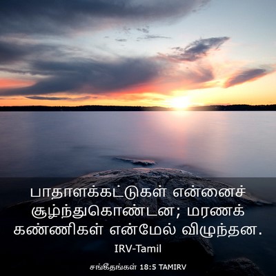 Picture 03 - சங்கீதங்கள் 18:5 TAMIRV - பாதாளக்கட்டுகள் - Bible Verse Picture