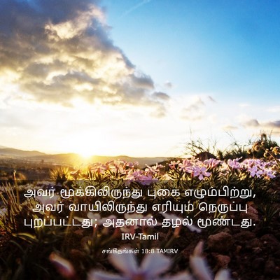 Picture 03 - சங்கீதங்கள் 18:8 TAMIRV - அவர் - Bible Verse Picture