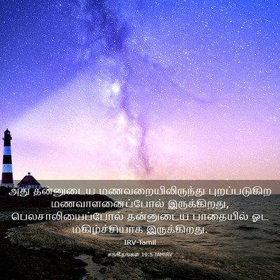 Picture 03 - சங்கீதங்கள் 19:5 TAMIRV - அது தன்னுடைய - Bible Verse Picture