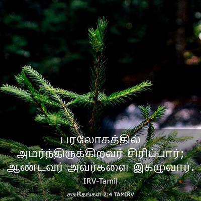 Picture 03 - சங்கீதங்கள் 2:4 TAMIRV - பரலோகத்தில் - Bible Verse Picture