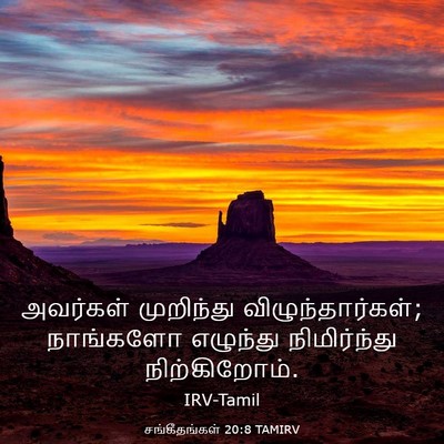 Picture 03 - சங்கீதங்கள் 20:8 TAMIRV - அவர்கள் முறிந்து - Bible Verse Picture