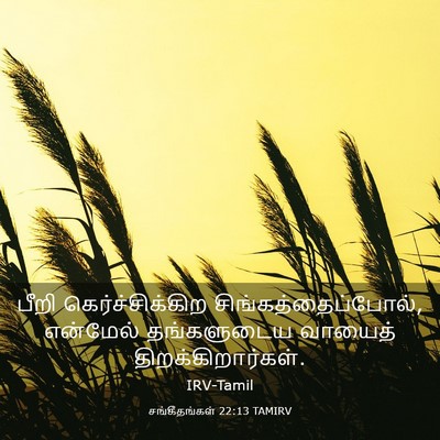 Picture 03 - சங்கீதங்கள் 22:13 TAMIRV - பீறி - Bible Verse Picture