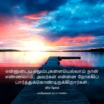 Picture 03 - சங்கீதங்கள் 22:17 TAMIRV - என்னுடைய - Bible Verse Picture