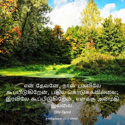 Picture 03 - சங்கீதங்கள் 22:2 TAMIRV - என் தேவனே, நான் - Bible Verse Picture