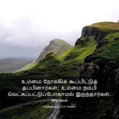 Picture 03 - சங்கீதங்கள் 22:5 TAMIRV - உம்மை நோக்கிக் - Bible Verse Picture