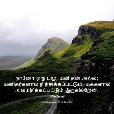 Picture 03 - சங்கீதங்கள் 22:6 TAMIRV - நானோ ஒரு புழு, - Bible Verse Picture