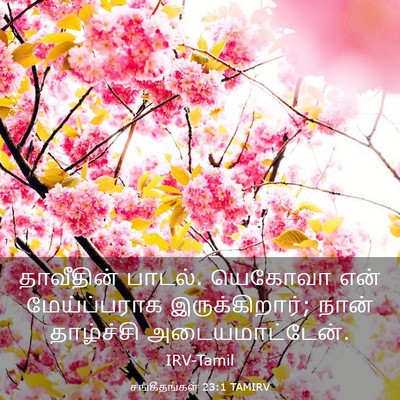 Picture 03 - சங்கீதங்கள் 23:1 TAMIRV - தாவீதின் பாடல். - Bible Verse Picture