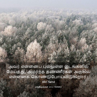 Picture 03 - சங்கீதங்கள் 23:2 TAMIRV - அவர் என்னைப் - Bible Verse Picture