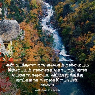 Picture 03 - சங்கீதங்கள் 23:6 TAMIRV - என் உயிருள்ள - Bible Verse Picture
