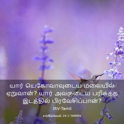 Picture 03 - சங்கீதங்கள் 24:3 TAMIRV - யார் யெகோவாவுடைய - Bible Verse Picture