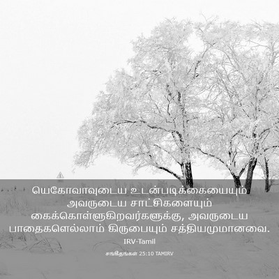 Picture 03 - சங்கீதங்கள் 25:10 TAMIRV - யெகோவாவுடைய - Bible Verse Picture