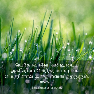 Picture 03 - சங்கீதங்கள் 25:11 TAMIRV - யெகோவாவே, - Bible Verse Picture