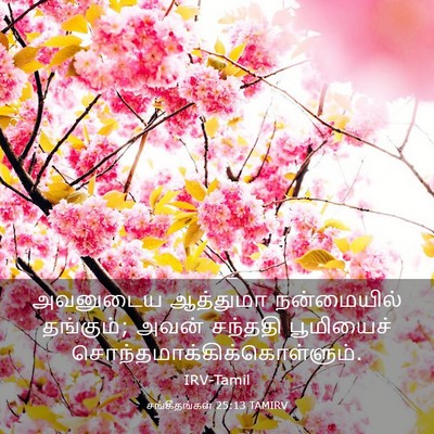Picture 03 - சங்கீதங்கள் 25:13 TAMIRV - அவனுடைய ஆத்துமா - Bible Verse Picture