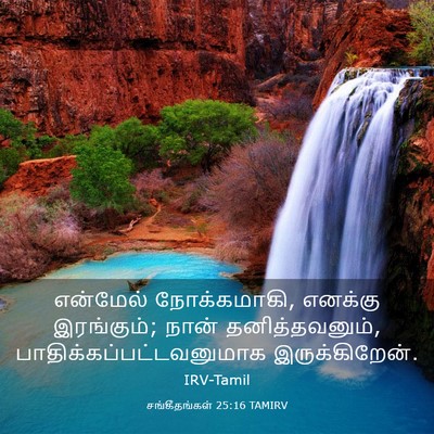 Picture 03 - சங்கீதங்கள் 25:16 TAMIRV - என்மேல் - Bible Verse Picture