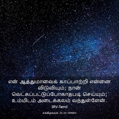 Picture 03 - சங்கீதங்கள் 25:20 TAMIRV - என் ஆத்துமாவைக் - Bible Verse Picture