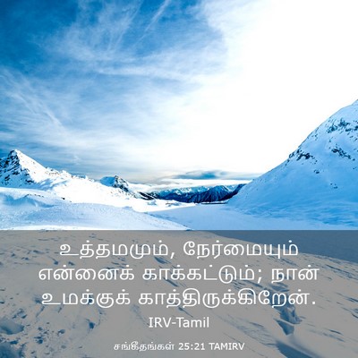 Picture 03 - சங்கீதங்கள் 25:21 TAMIRV - உத்தமமும், - Bible Verse Picture