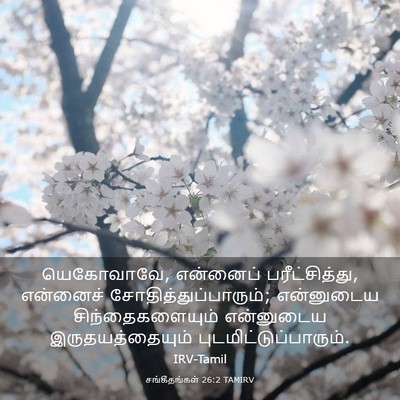 Picture 03 - சங்கீதங்கள் 26:2 TAMIRV - யெகோவாவே, என்னைப் - Bible Verse Picture