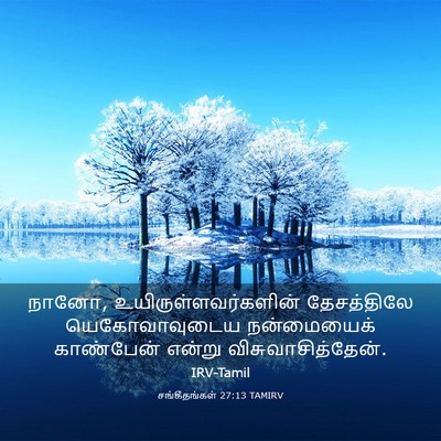 Picture 03 - சங்கீதங்கள் 27:13 TAMIRV - நானோ, - Bible Verse Picture