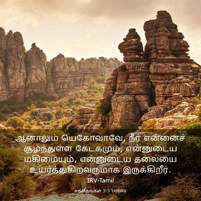 Picture 03 - சங்கீதங்கள் 3:3 TAMIRV - ஆனாலும் யெகோவாவே, - Bible Verse Picture