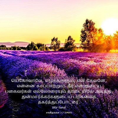 Picture 03 - சங்கீதங்கள் 3:7 TAMIRV - யெகோவாவே, - Bible Verse Picture