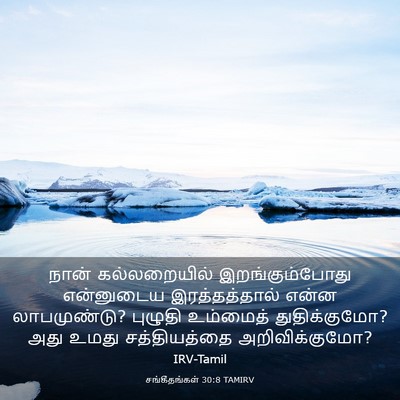 Picture 03 - சங்கீதங்கள் 30:8 TAMIRV - நான் கல்லறையில் - Bible Verse Picture