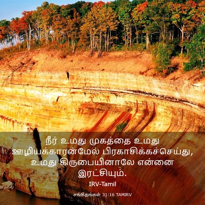 Picture 03 - சங்கீதங்கள் 31:16 TAMIRV - நீர் உமது முகத்தை - Bible Verse Picture