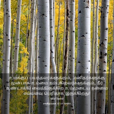 Picture 03 - சங்கீதங்கள் 31:19 TAMIRV - உமக்குப் - Bible Verse Picture