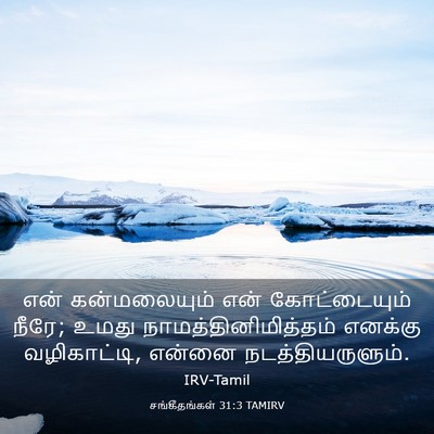 Picture 03 - சங்கீதங்கள் 31:3 TAMIRV - என் கன்மலையும் - Bible Verse Picture
