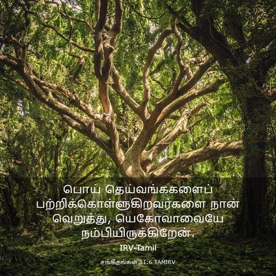 Picture 03 - சங்கீதங்கள் 31:6 TAMIRV - பொய் - Bible Verse Picture