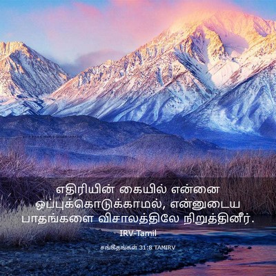 Picture 03 - சங்கீதங்கள் 31:8 TAMIRV - எதிரியின் கையில் - Bible Verse Picture