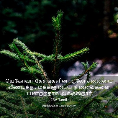 Picture 03 - சங்கீதங்கள் 33:10 TAMIRV - யெகோவா தேசங்களின் - Bible Verse Picture
