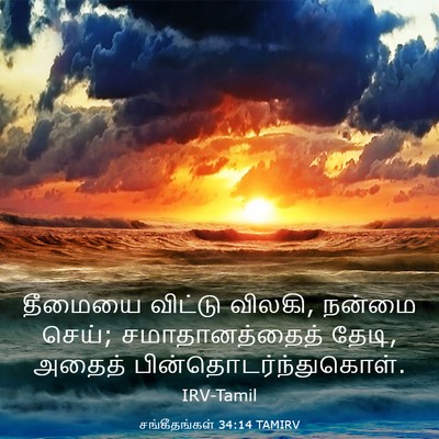 Picture 03 - சங்கீதங்கள் 34:14 TAMIRV - தீமையை விட்டு - Bible Verse Picture