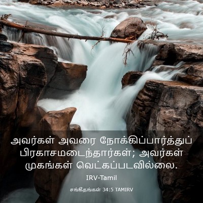 Picture 03 - சங்கீதங்கள் 34:5 TAMIRV - அவர்கள் அவரை - Bible Verse Picture