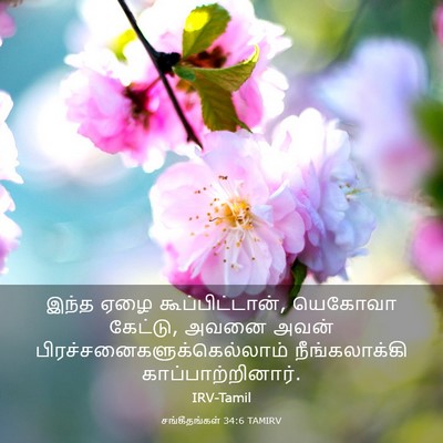 Picture 03 - சங்கீதங்கள் 34:6 TAMIRV - இந்த ஏழை - Bible Verse Picture