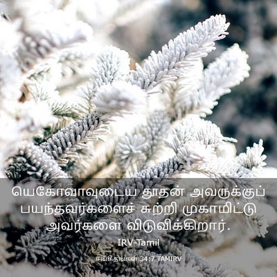 Picture 03 - சங்கீதங்கள் 34:7 TAMIRV - யெகோவாவுடைய தூதன் - Bible Verse Picture