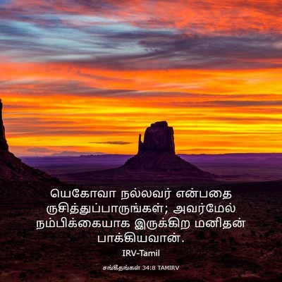 Picture 03 - சங்கீதங்கள் 34:8 TAMIRV - யெகோவா நல்லவர் - Bible Verse Picture