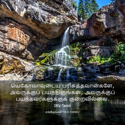 Picture 03 - சங்கீதங்கள் 34:9 TAMIRV - யெகோவாவுடைய - Bible Verse Picture