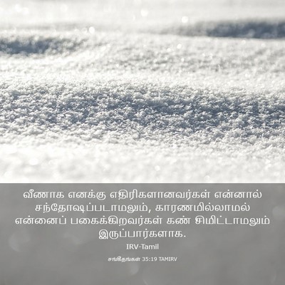 Picture 03 - சங்கீதங்கள் 35:19 TAMIRV - வீணாக எனக்கு - Bible Verse Picture