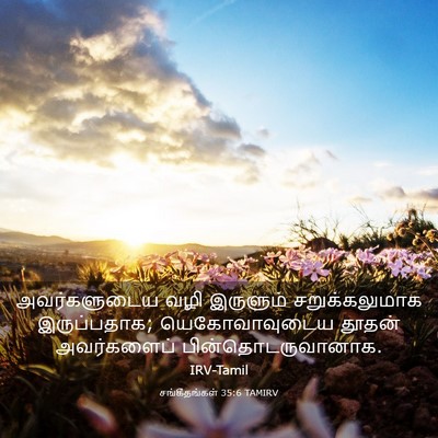 Picture 03 - சங்கீதங்கள் 35:6 TAMIRV - அவர்களுடைய வழி - Bible Verse Picture