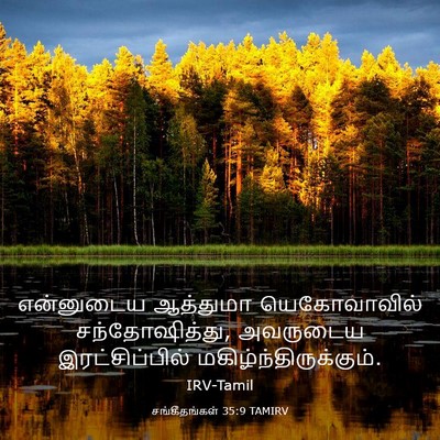 Picture 03 - சங்கீதங்கள் 35:9 TAMIRV - என்னுடைய ஆத்துமா - Bible Verse Picture