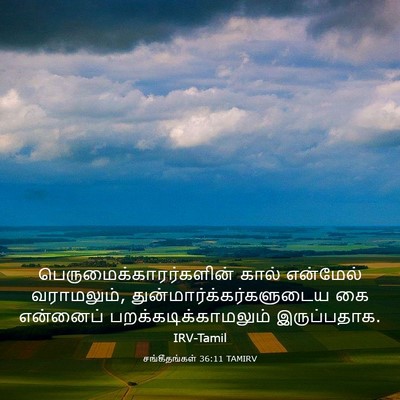 Picture 03 - சங்கீதங்கள் 36:11 TAMIRV -  - Bible Verse Picture