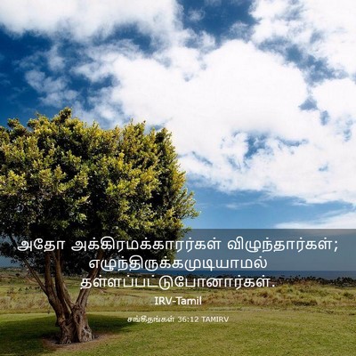 Picture 03 - சங்கீதங்கள் 36:12 TAMIRV - அதோ - Bible Verse Picture
