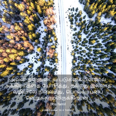 Picture 03 - சங்கீதங்கள் 36:4 TAMIRV - அவன் தன்னுடைய - Bible Verse Picture