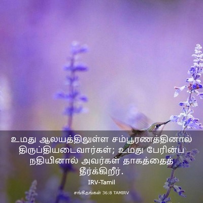 Picture 03 - சங்கீதங்கள் 36:8 TAMIRV - உமது ஆலயத்திலுள்ள - Bible Verse Picture