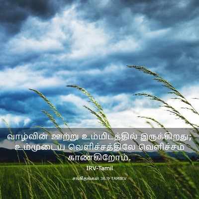 Picture 03 - சங்கீதங்கள் 36:9 TAMIRV - வாழ்வின் ஊற்று - Bible Verse Picture
