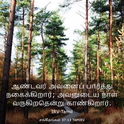 Picture 03 - சங்கீதங்கள் 37:13 TAMIRV - ஆண்டவர் அவனைப் - Bible Verse Picture